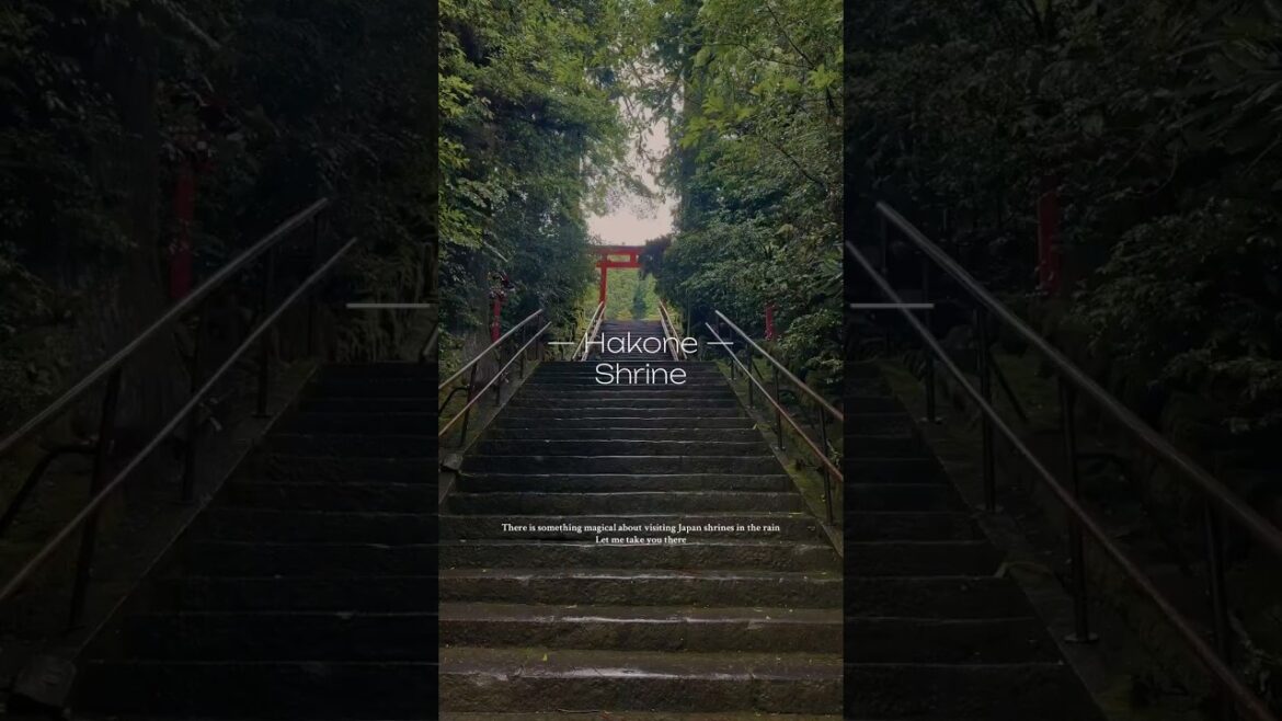 ⛩️Come visit Hakone Shrine with me! #japantravel
