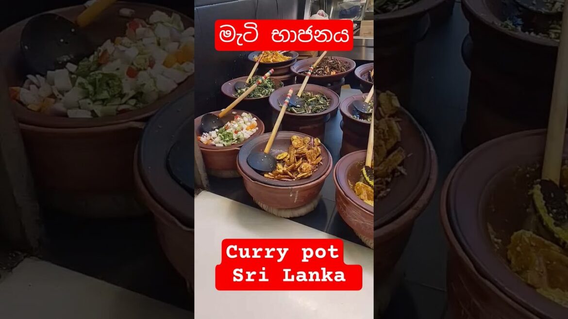 Curry pot Sri Lanka #travelwithishak #srilankanfood #ytshorts #youtube #riceandcurry #srilanka