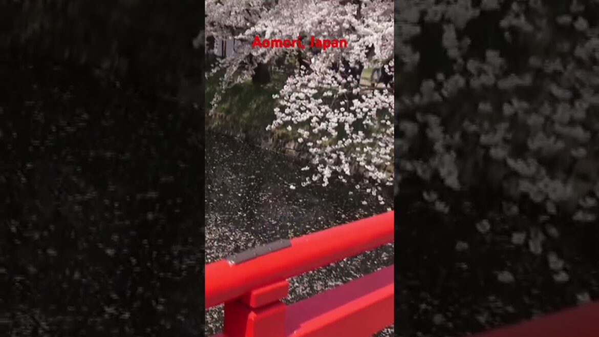 Aomori town, Japan 🇯🇵