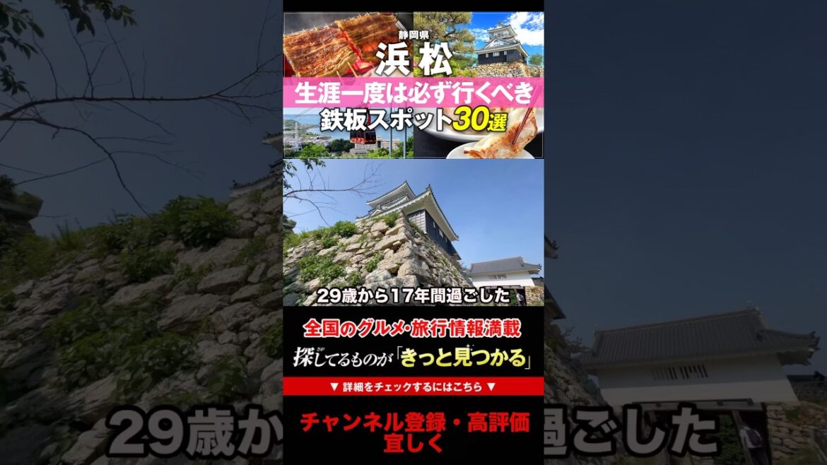 【天下統一】出世できると言われるパワーポットの浜松城がコチラ