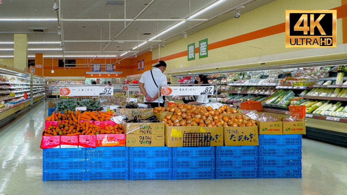 🇯🇵 AEON BIG JAPAN – Okinawa Supermarket Tour [4K Video]