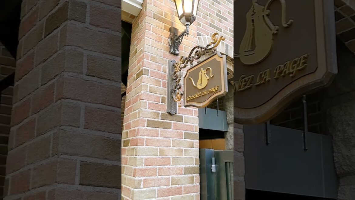 Cheesecake cafe, Shizuoka, Japan #4