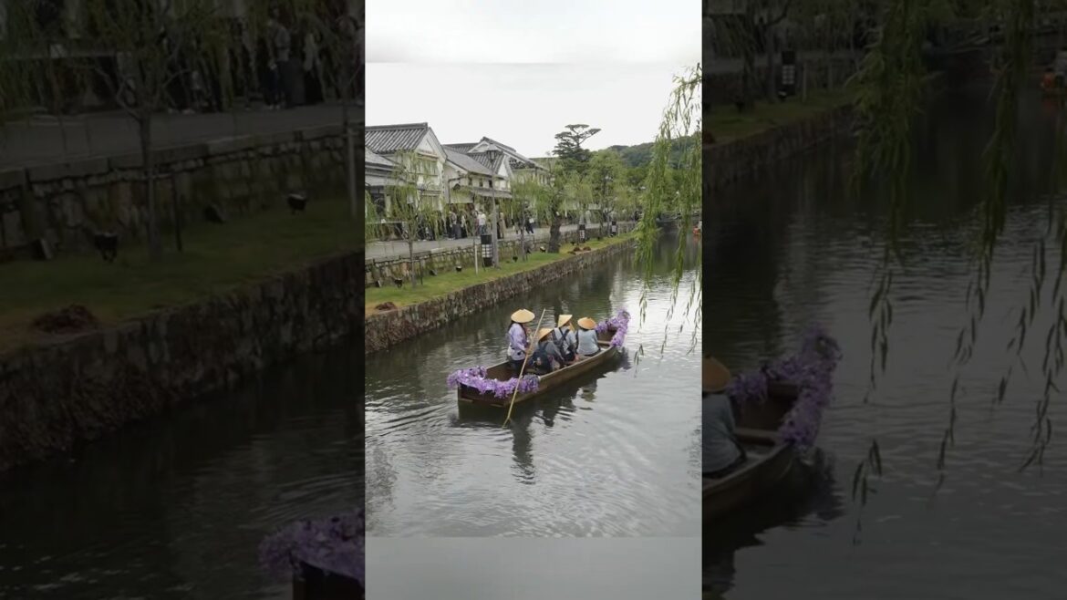 Japan’s Timeless Canal Town? 🇯🇵 Kurashiki Bikan Walk #slowtravel