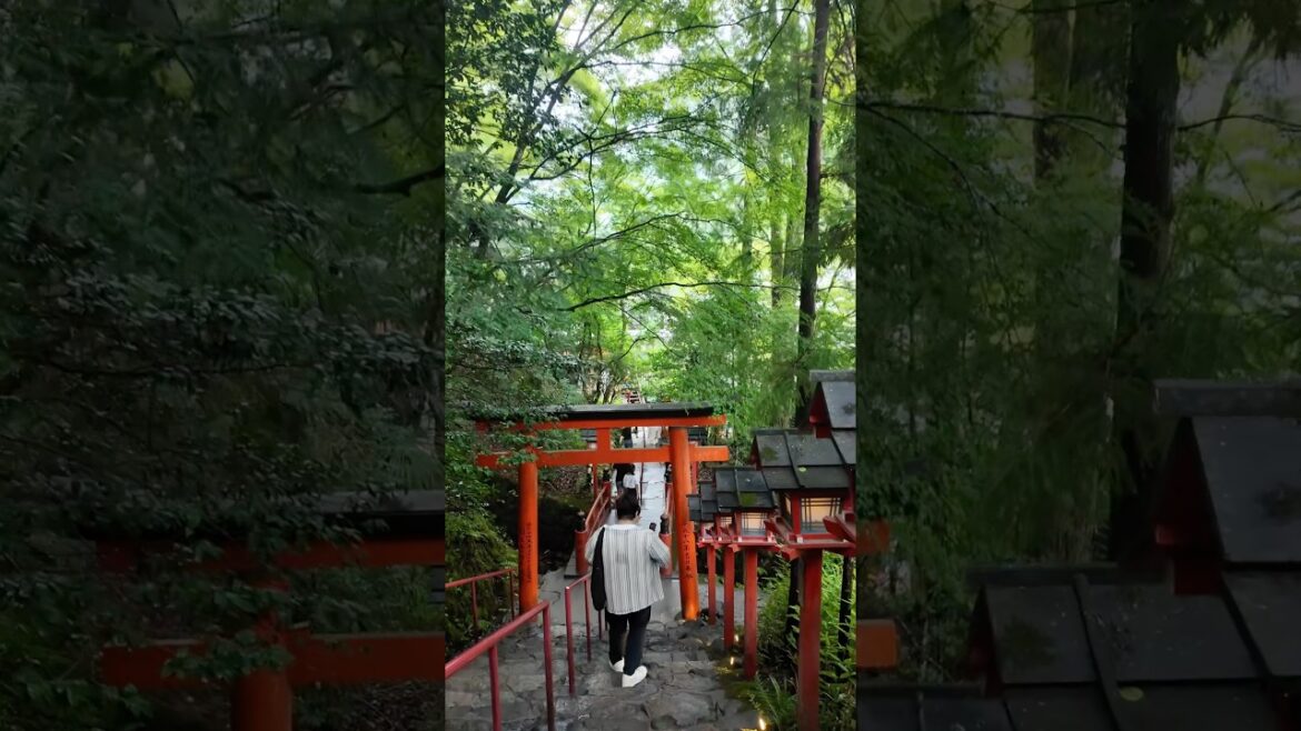 Kifune Shrine #kyoto #japan #travel