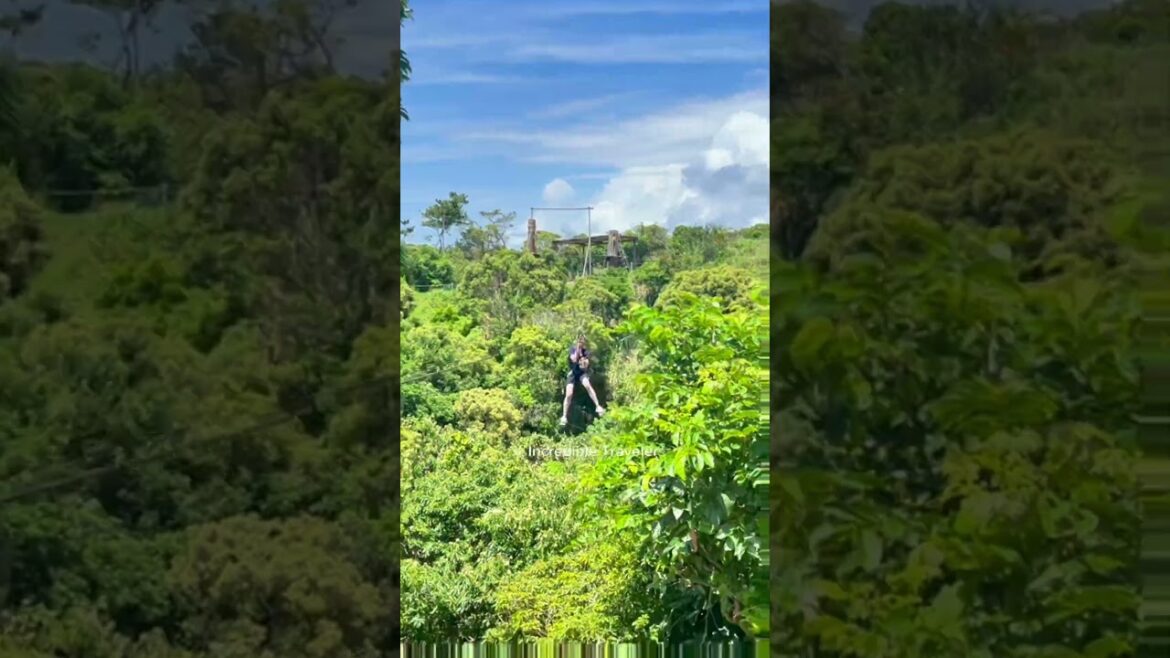 A Daredevil Adventure in Japan #japan #okinawa #shorts A Daredevil Adventure in Japan #japan #okinawa #shorts