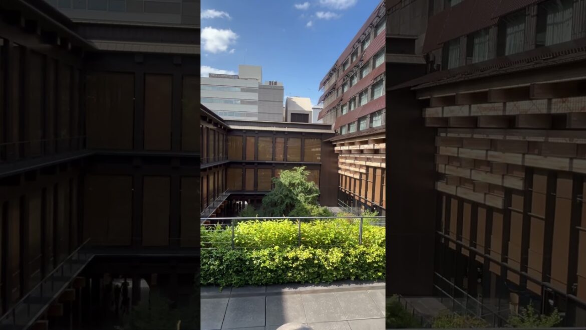 【KYOTO】Must-See Shopping Spot - ShinPuhKan