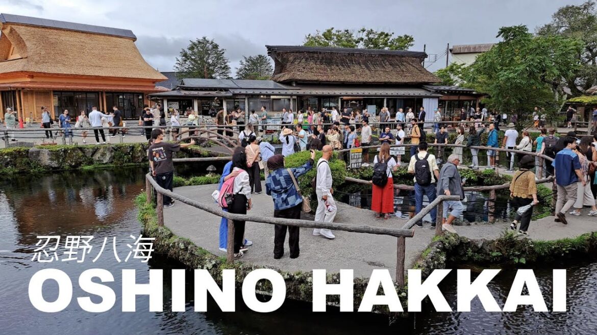 Summer in Japan 🇯🇵 | Oshino Hakkai–The Most Beautiful Village near Mt. Fuji with Magical Blue Ponds