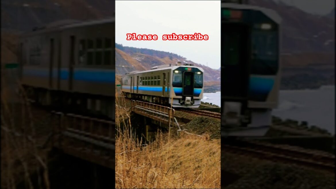 Fast Japanese GV-E400            #japaneserailway #jreast #gve400系