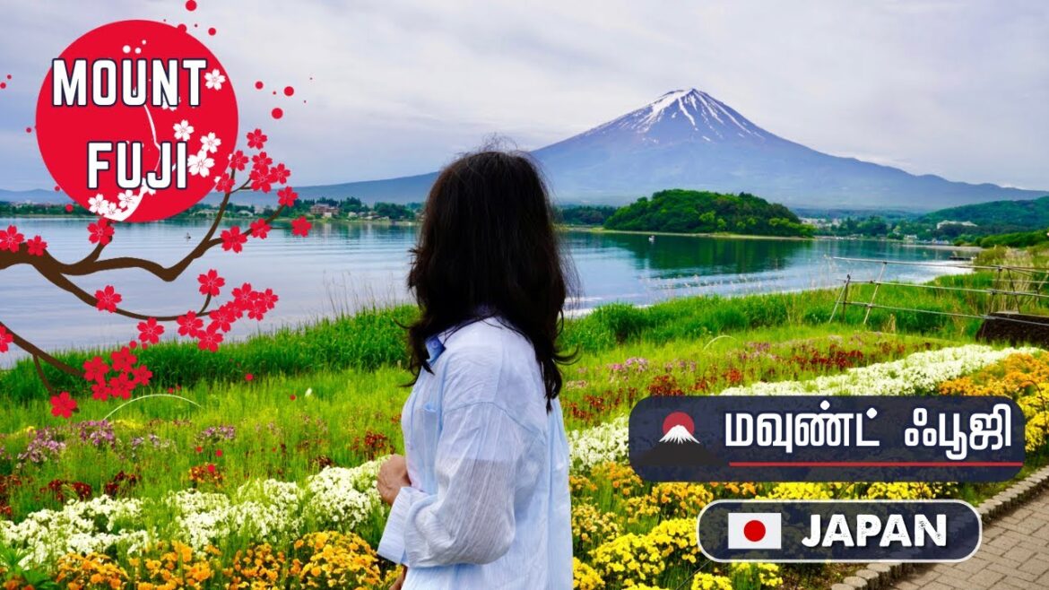 ЁЯПФя╕П Mount Fuji Trip ЁЯШН | роЬрокрпНрокро╛ройро┐ройрпН роЕродро┐роЪроп рооро▓рпИ рокропрогроорпН ЁЯЗпЁЯЗ╡ | Tamil Travel Vlog ЁЯПФя╕П Mount Fuji Trip ЁЯШН | роЬрокрпНрокро╛ройро┐ройрпН роЕродро┐роЪроп рооро▓рпИ рокропрогроорпН ЁЯЗпЁЯЗ╡ | Tamil Travel Vlog