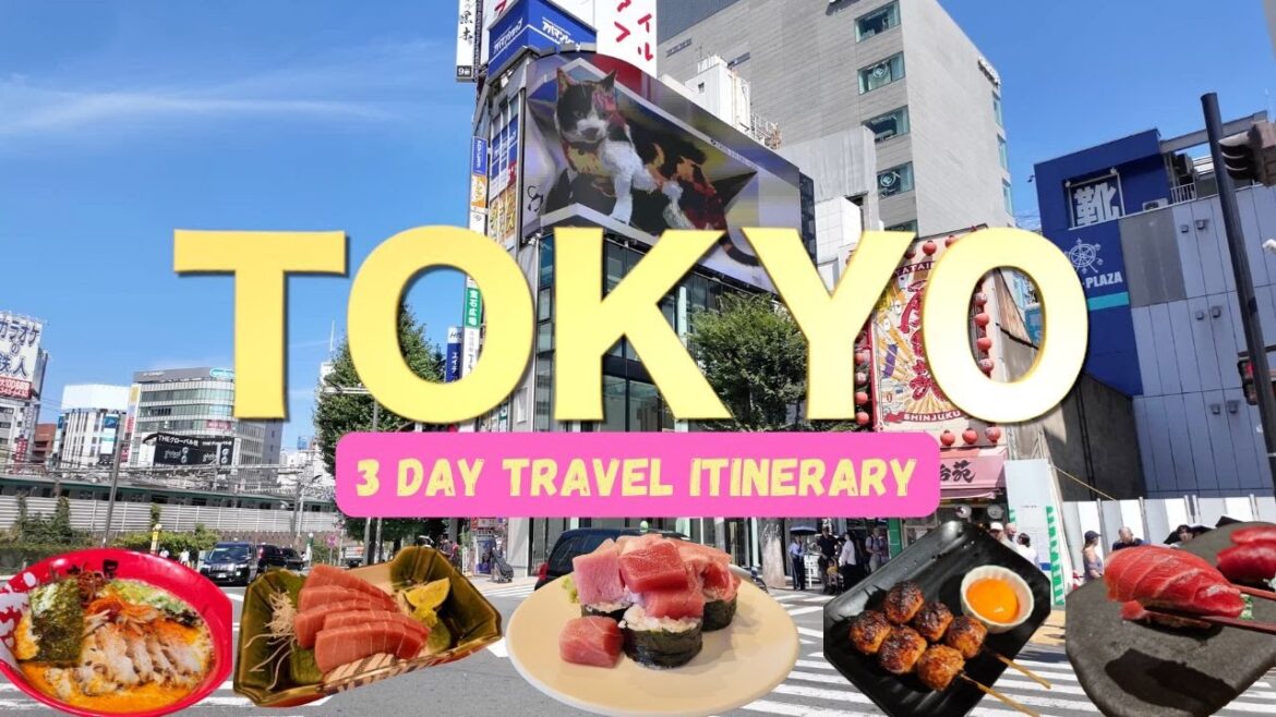 TOKYO Japan. 3 Day Travel Itinerary. Japanese Food, Japanese Bars.Must Visit Places. FREE Light Show TOKYO Japan. 3 Day Travel Itinerary. Japanese Food, Japanese Bars.Must Visit Places. FREE Light Show