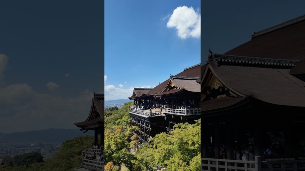 Japanese Temple #kiyomizudera  #kyoto #japan #travel