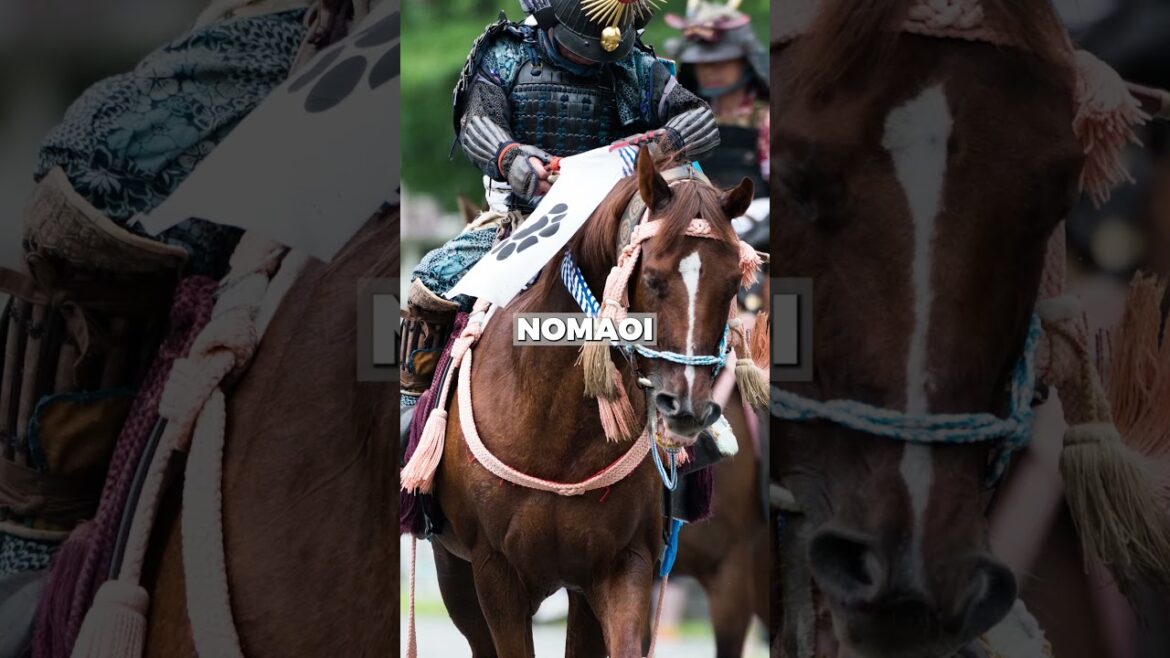 Fukushima’s Festivals: A celebration of culture #fukushima #japan #travelshorts #japanfestival Fukushima's Festivals: A celebration of culture #fukushima #japan #travelshorts #japanfestival