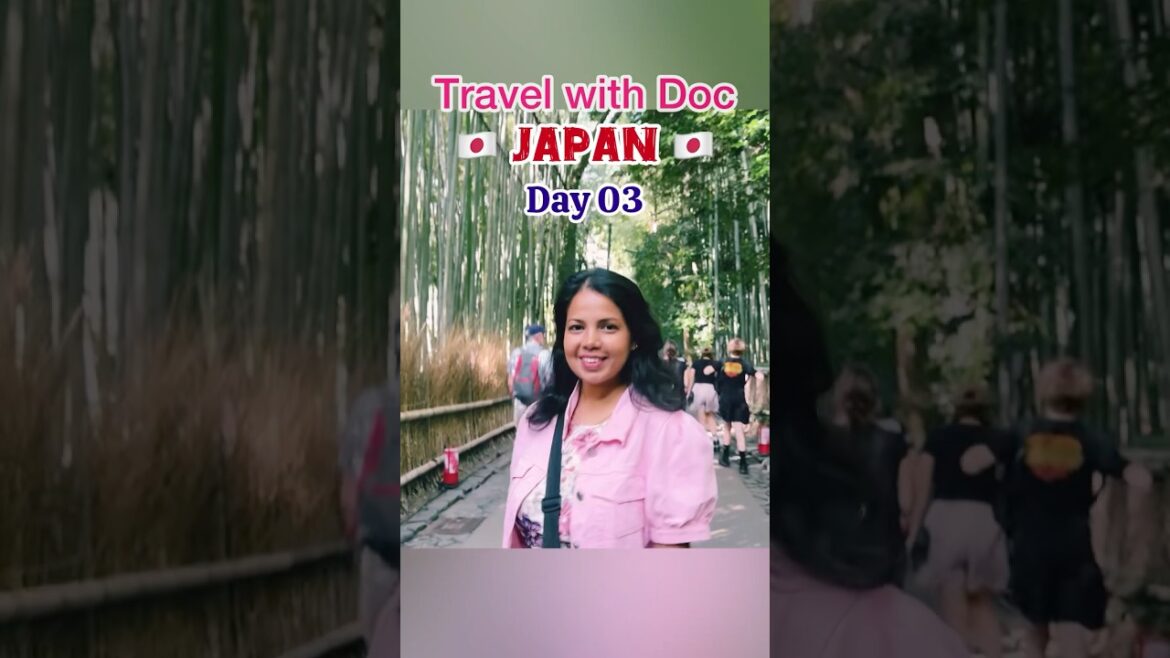 🇯🇵 𝕵𝖆𝖕𝖆𝖓 𝗗𝗮𝘆 𝟬𝟯 𝐀𝐫𝐚𝐬𝐡𝐢𝐲𝐚𝐦𝐚 / 𝐍𝐚𝐫𝐚 places to visit#japan #japantravel #京都