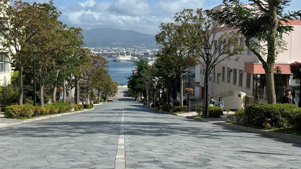 Morioka to Shin Hakodate Hokuto - Japan