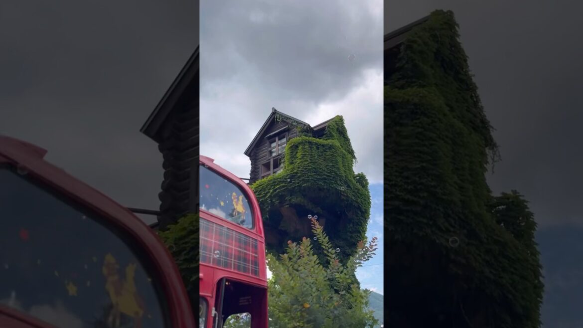 Sneak peek of Koibito Park in Sapporo, Hokkaido, Japan😍