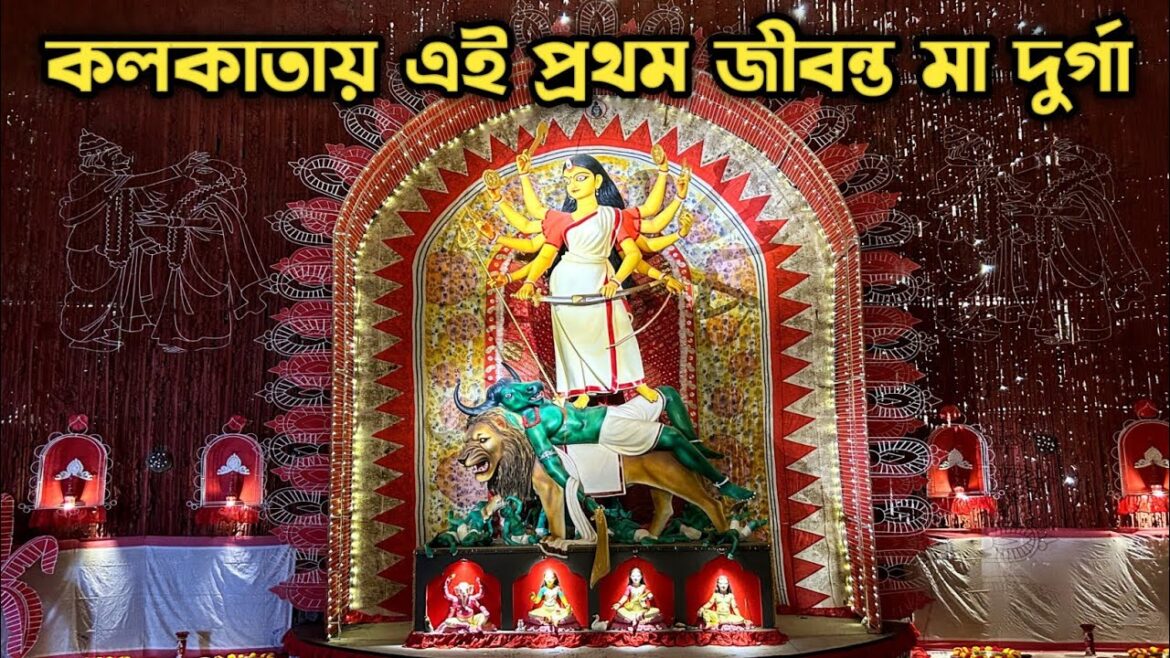 Chakraberia Sarbojonin Durga Puja 2025 | কলকাতার জীবন্ত মা দুর্গা | Kolkata Durga Puja 2025 |