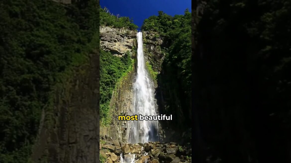 Wakayama, Japan: Waterfalls, Sacred Trails & Rice Terraces 🍃⛩️🌾