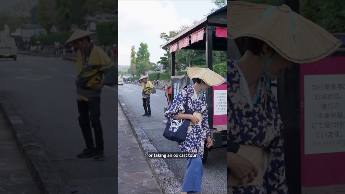 Izumi: The City of Samurai Spirits and 10,000 Cranes Izumi: The City of Samurai Spirits and 10,000 Cranes