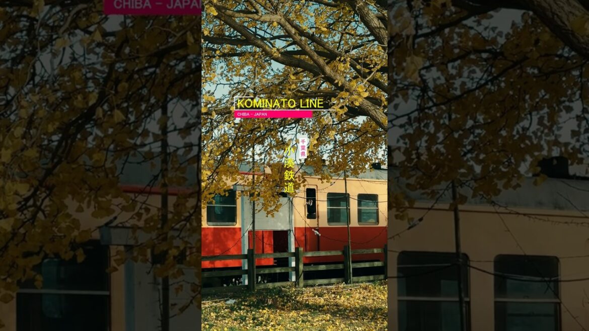 🍁 Through Autumn Countryside: A trip by Kominato Line 🚃 🍁 Through Autumn Countryside: A trip by Kominato Line 🚃