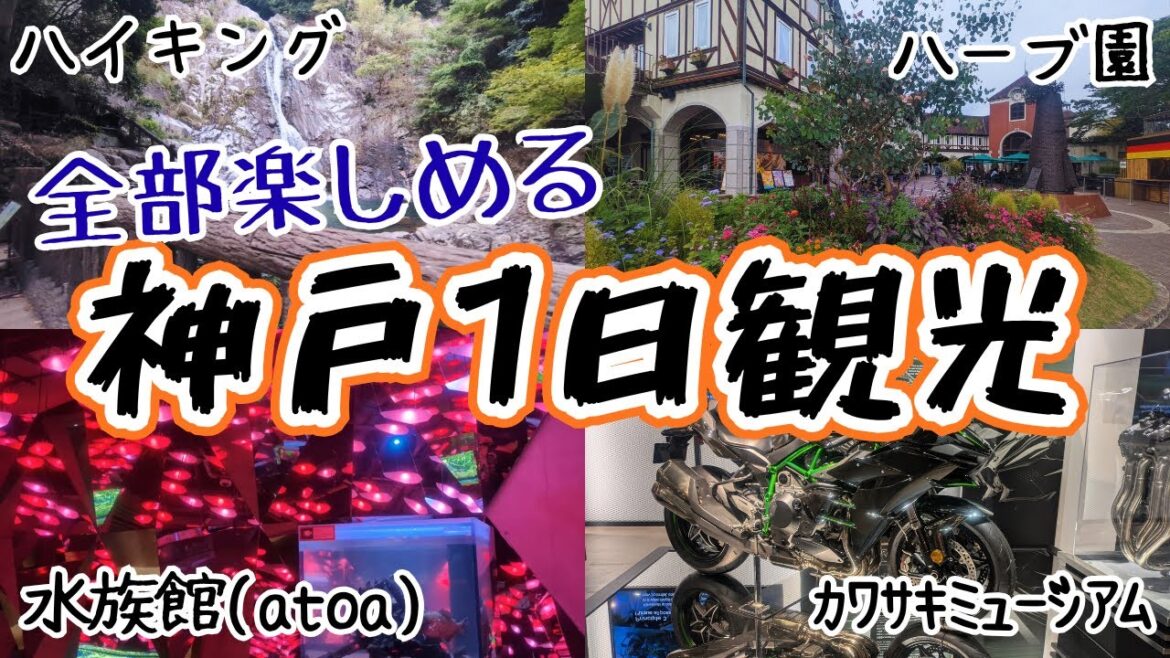 1日で回りまくる神戸観光旅が楽しすぎる‼️【旅行・初心者向けハイキング】