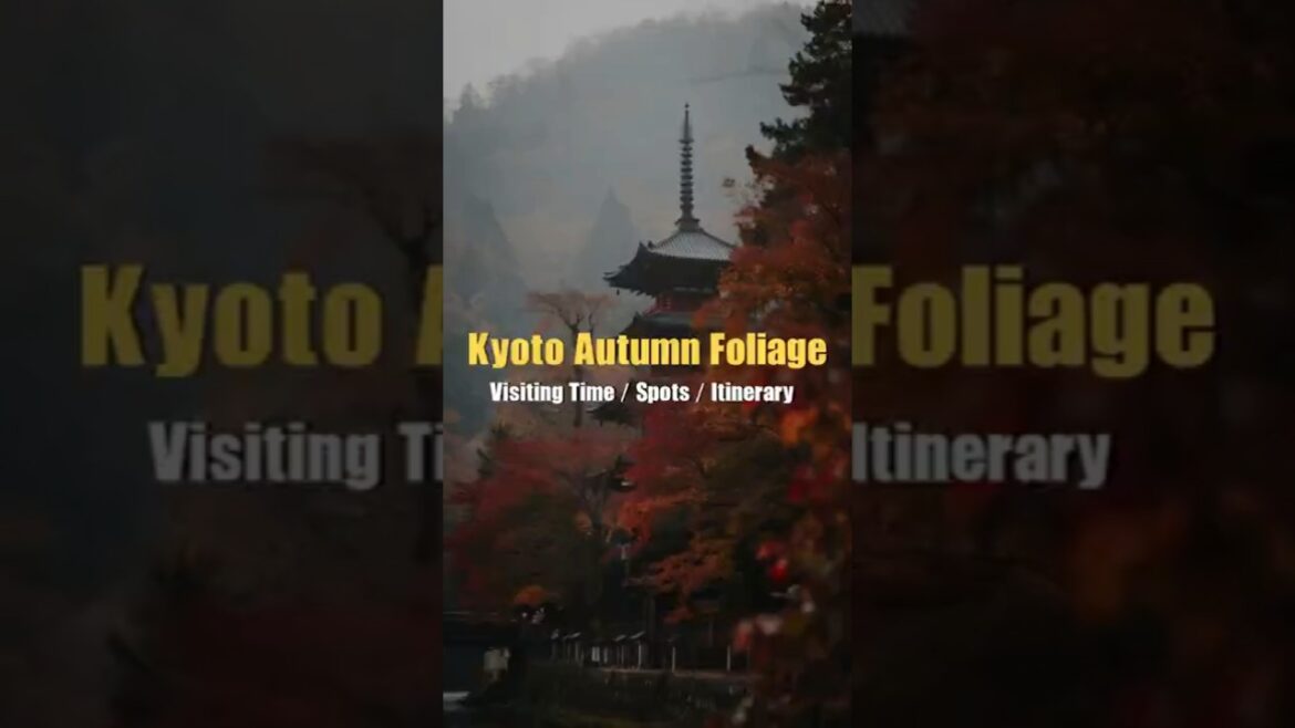 The ULTIMATE Kyoto Autumn Foliage Guide 2025 | Top Spots & Hidden Gems