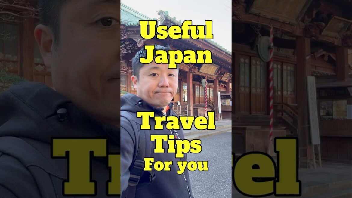 Useful Japan Travel Tips 💥 Tokyo Shinjuku Night Walk
