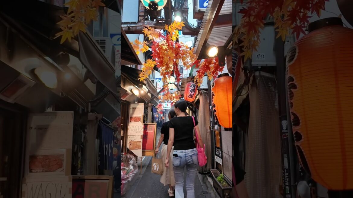 Omoide Yokocho Memory Lane #tokyo #japan #travel #food