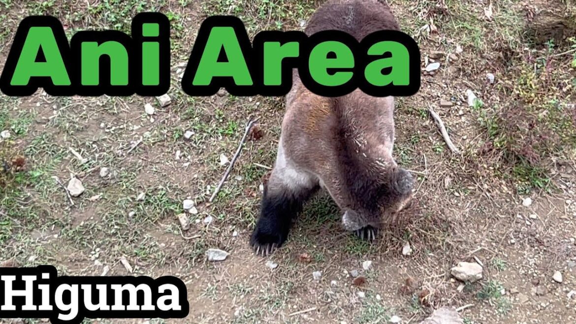 【AKITA】Curtis Mayfield Move On Up/Ani Area 【AKITA】Curtis Mayfield Move On Up/Ani Area