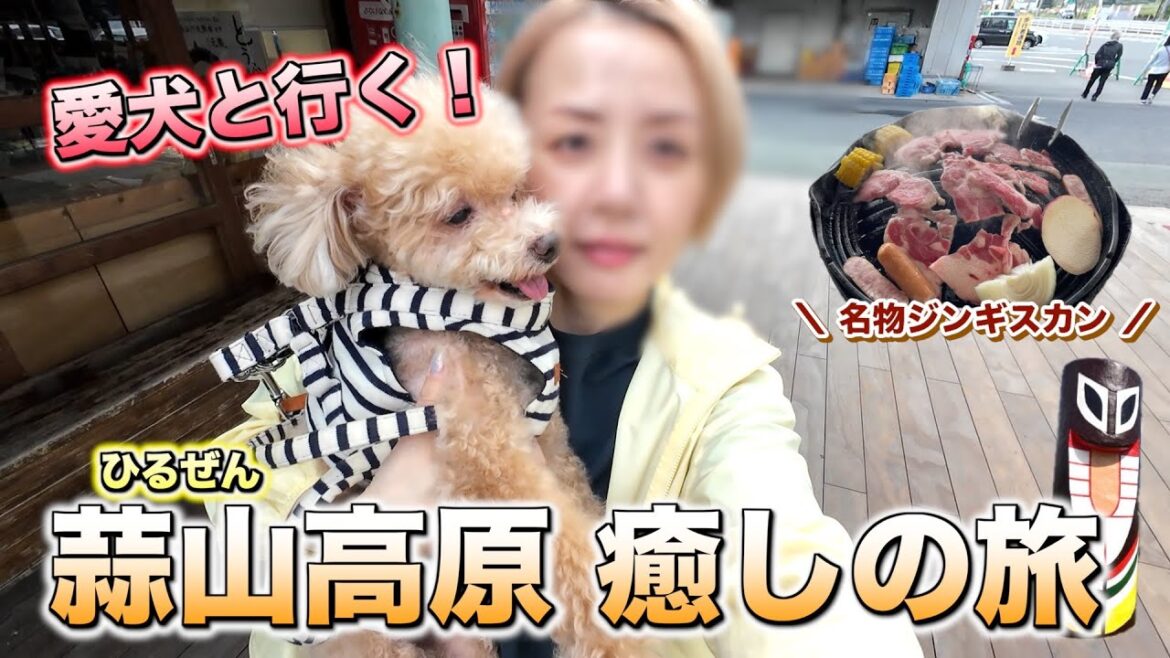 愛犬と岡山県北・蒜山癒しの旅！ジンギスカン ×道の駅 風の家 × ペットOK店を巡る🐶