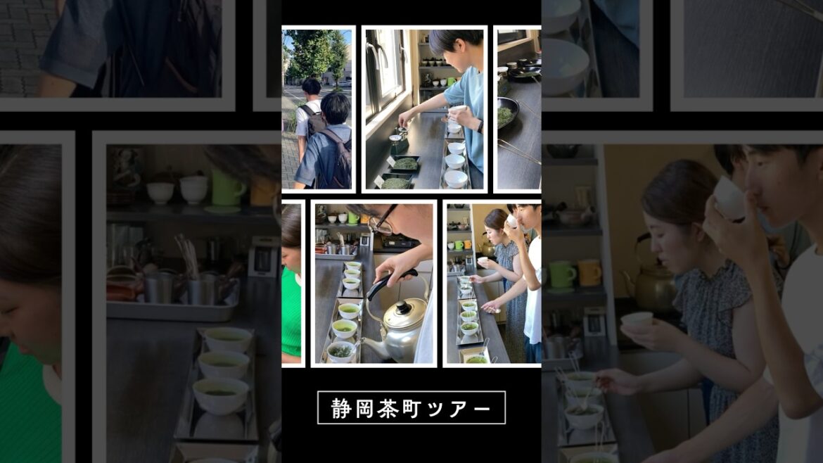 【ようこそ、静岡茶町へ】静岡のお茶屋さんで飲み比べ！