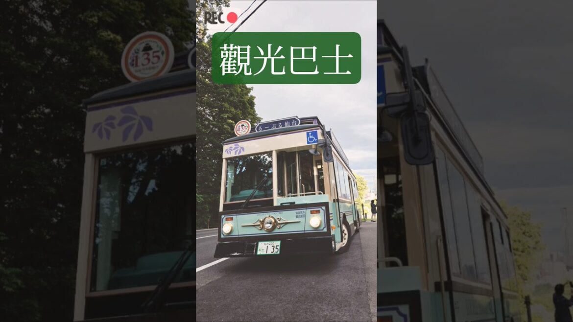 日本🇯🇵｜仙台觀光巴士♡るーぶる仙台｜Loople sendai  #shorts #travel #bus #shortsfeed