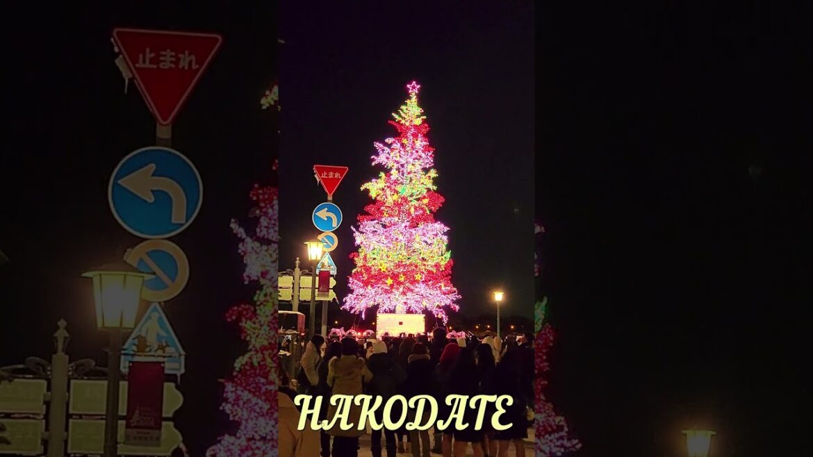 Winter Trip to Japan Winter Trip to Japan