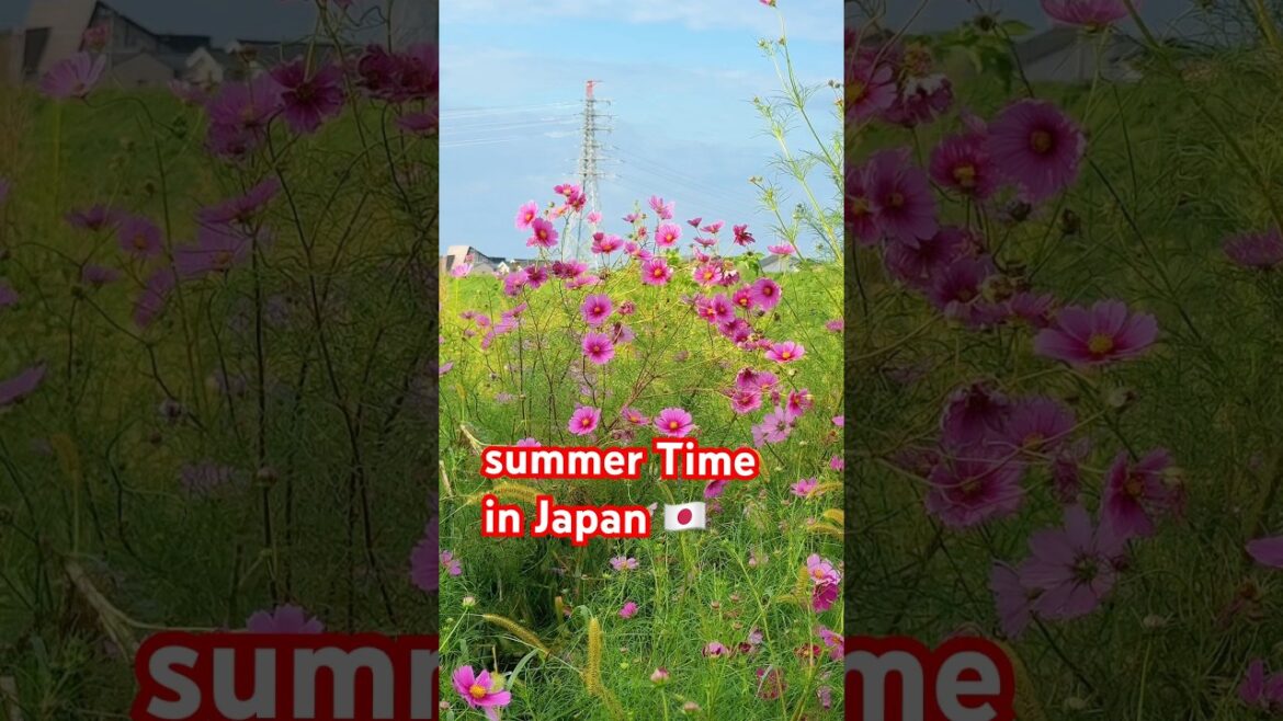 #doraemon #japan#nature#travel#shorts