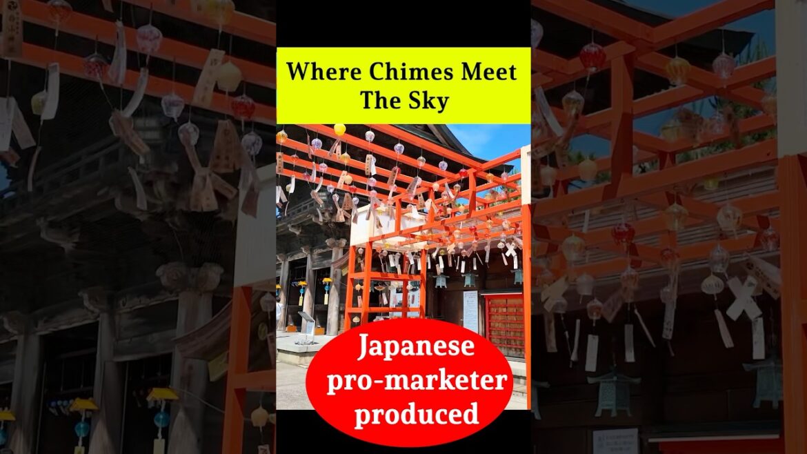 Best place in Japan for summer! #japantravel #visitjapan #niigata #niigatacity