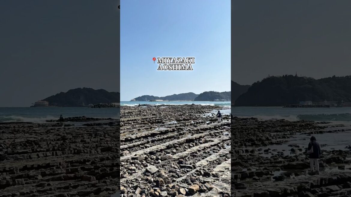 👹🏝️Aoshima, home of the Devil's Washboard  #japan #trip #travel #island #miyazaki #aoshima #shorts