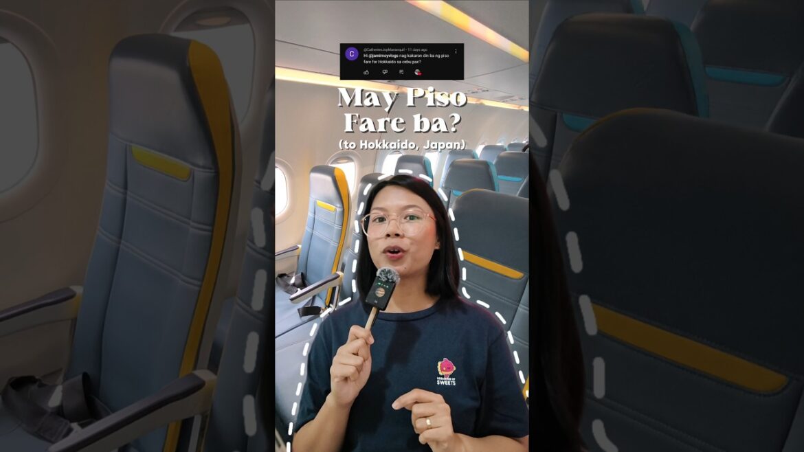 May Piso Fare ba to Hokkaido Japan? #seatsale #cebupac #cebupacific #promofare #pisofare #traveltips