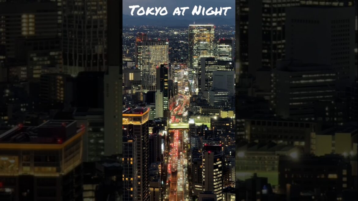 #shorts #Tokyo_at_Night #viralvideo #viralshorts #youtubeshorts #trending #travel#japan #japantravel