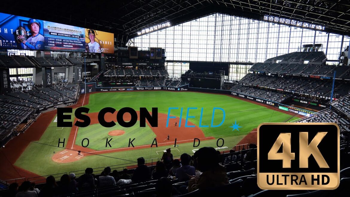 【4K Walk in Japan】ES CON Field, Beautiful Baseball Stadium in Hokkaido