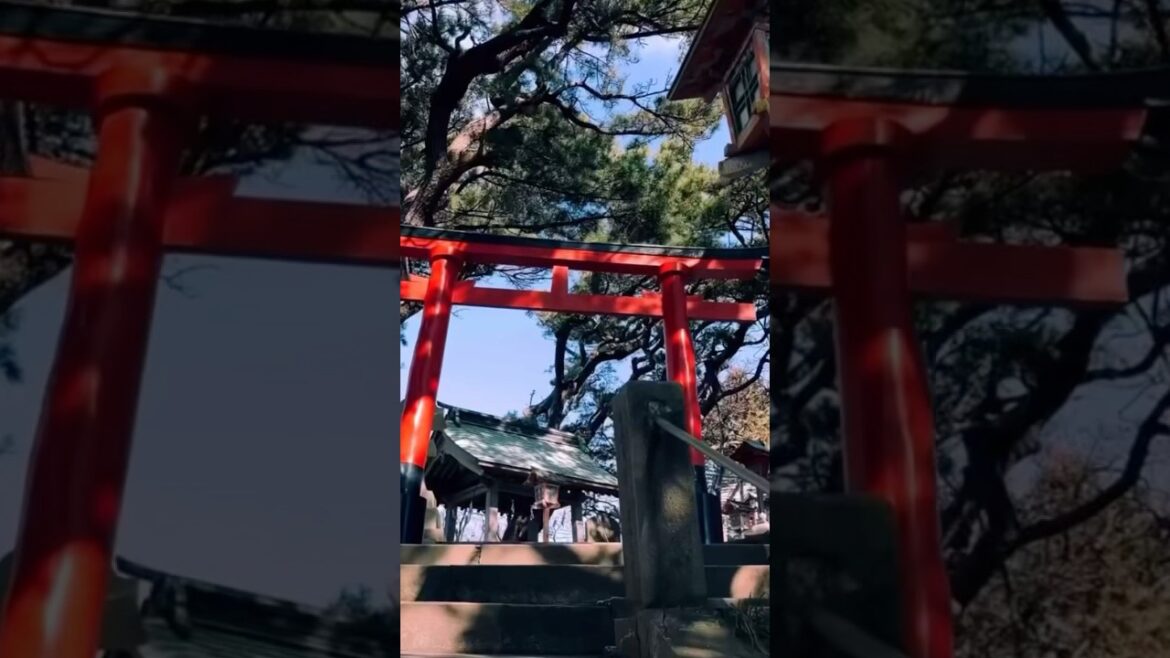 NEXT STOP IS 🚏 🇯🇵 Japan #travel #japan #vacation #aomori #asiantravel #visitjapan  #japantravel