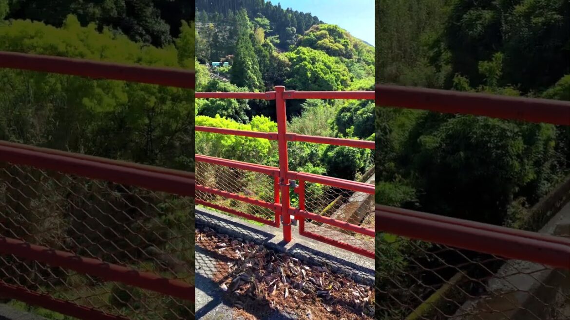 Cleaned Pedestrian Road: Ichiwatase, Minamata, Kumamoto, Japan #country #japaneselandscape