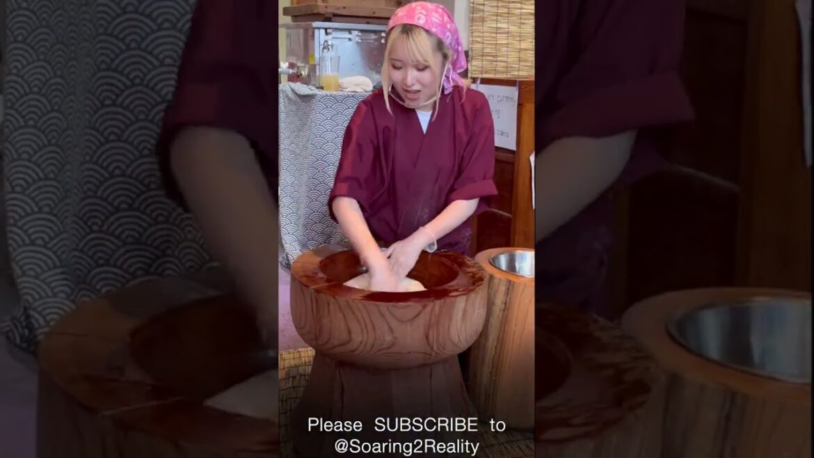 WOW! Making Mochi Mochi Kyoto Japan | Soaring2Reality GREAT Video!