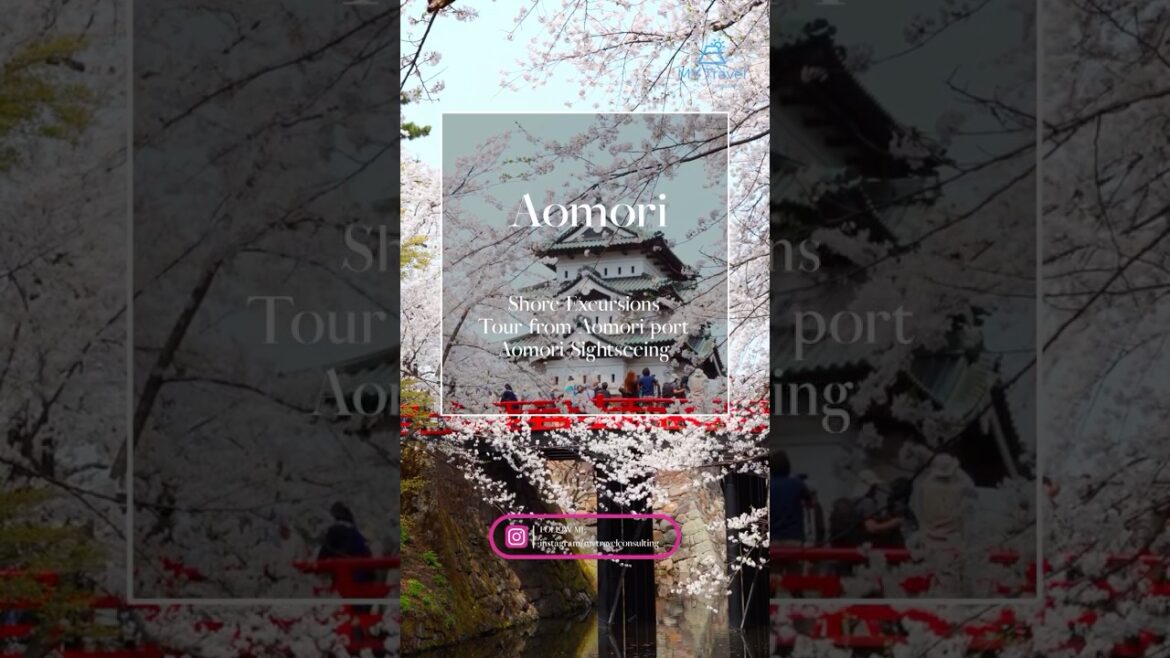 ★Shore Excursions in Japan★Tour from Aomori port
