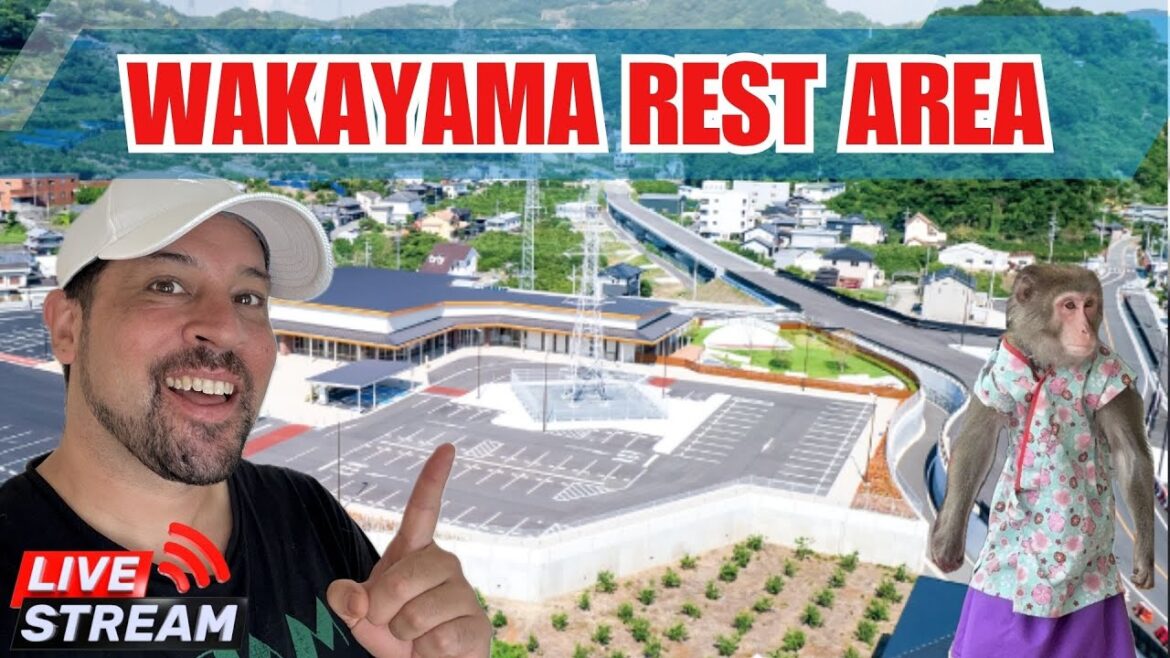 (LIVE) Japan Exploring: Wakayama Rest Area w/Shows and Dogs! (LIVE) Japan Exploring: Wakayama Rest Area w/Shows and Dogs!