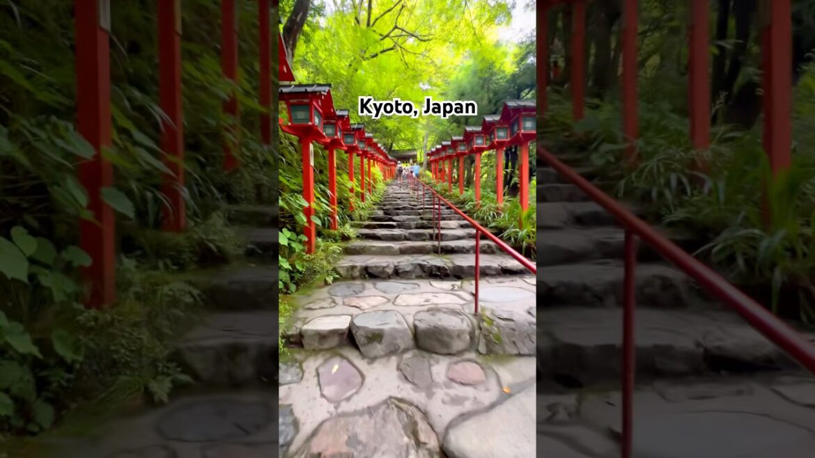 Kyoto, Japan #travel #travelbucketlist #japaneseculture #beautifuldestinations #japan #japantravel Kyoto, Japan #travel #travelbucketlist #japaneseculture #beautifuldestinations #japan #japantravel