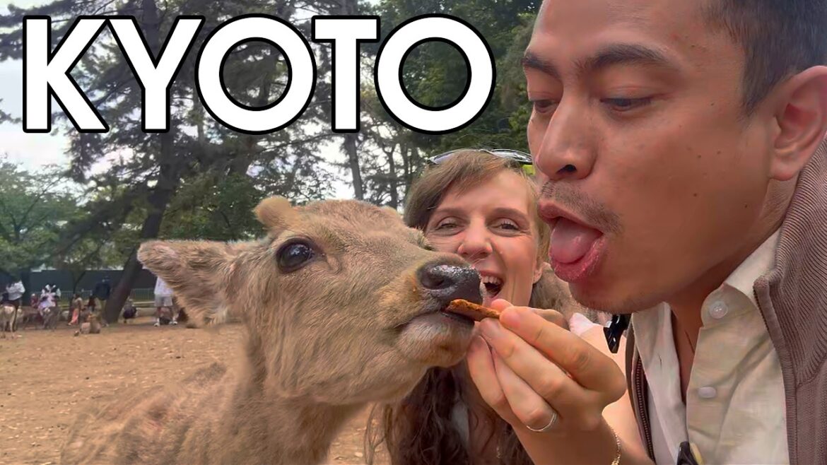 KYOTO Travel Vlog 2025 – 9 Iconic Places You Can’t Leave Japan Without Seeing! #travelvlog KYOTO Travel Vlog 2025 - 9 Iconic Places You Can’t Leave Japan Without Seeing! #travelvlog