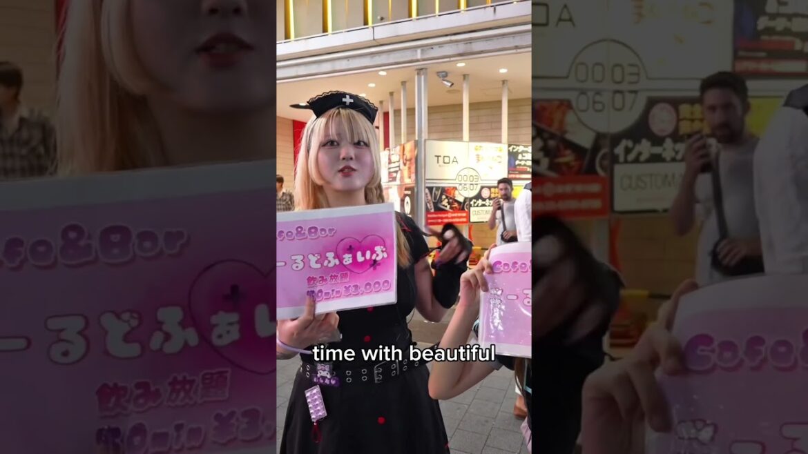 Japan’s Catcher Culture: How They Pull You into the Night