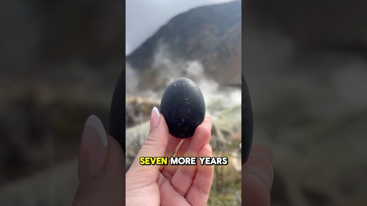 Hakone free pass #japan #shorts #viral