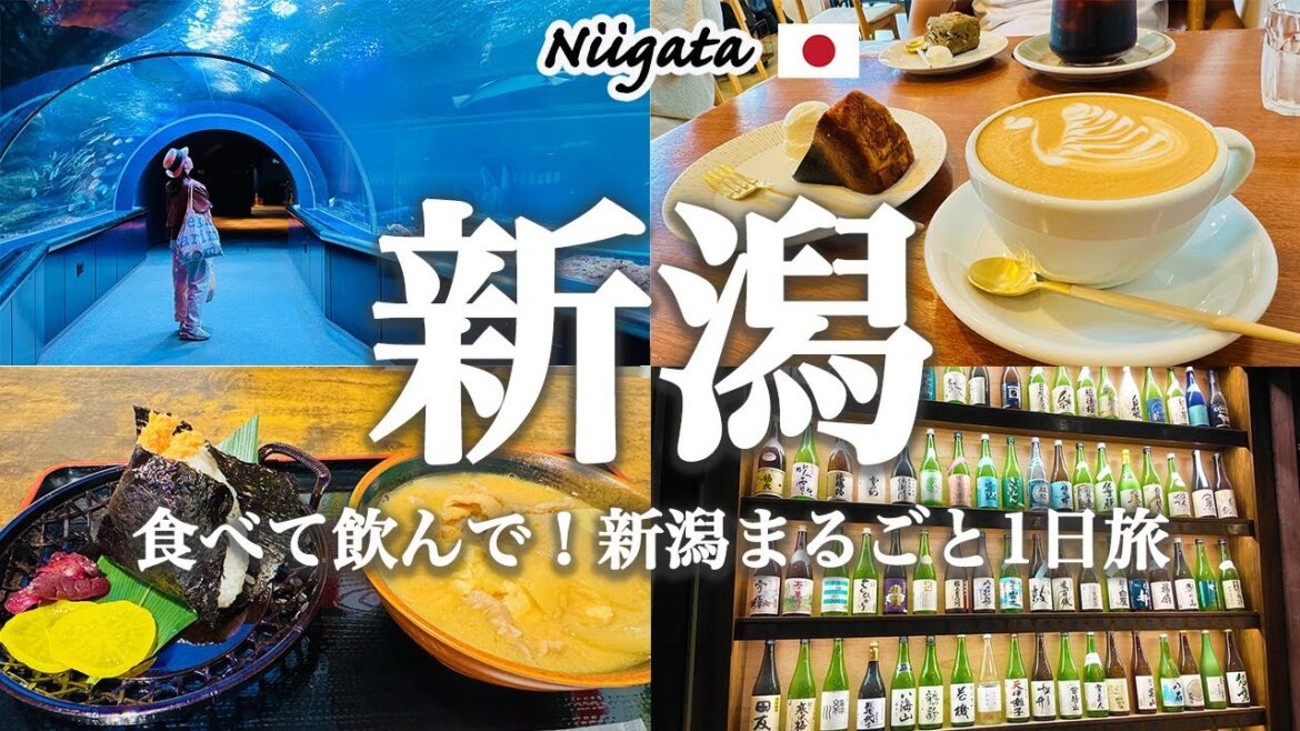 【新潟1日旅】地元グルメ&観光スポット完全ガイド!海鮮市場・日本酒・老舗とんかつ・おしゃれ商店街を満喫🍶🌾 【新潟1日旅】地元グルメ&観光スポット完全ガイド!海鮮市場・日本酒・老舗とんかつ・おしゃれ商店街を満喫🍶🌾