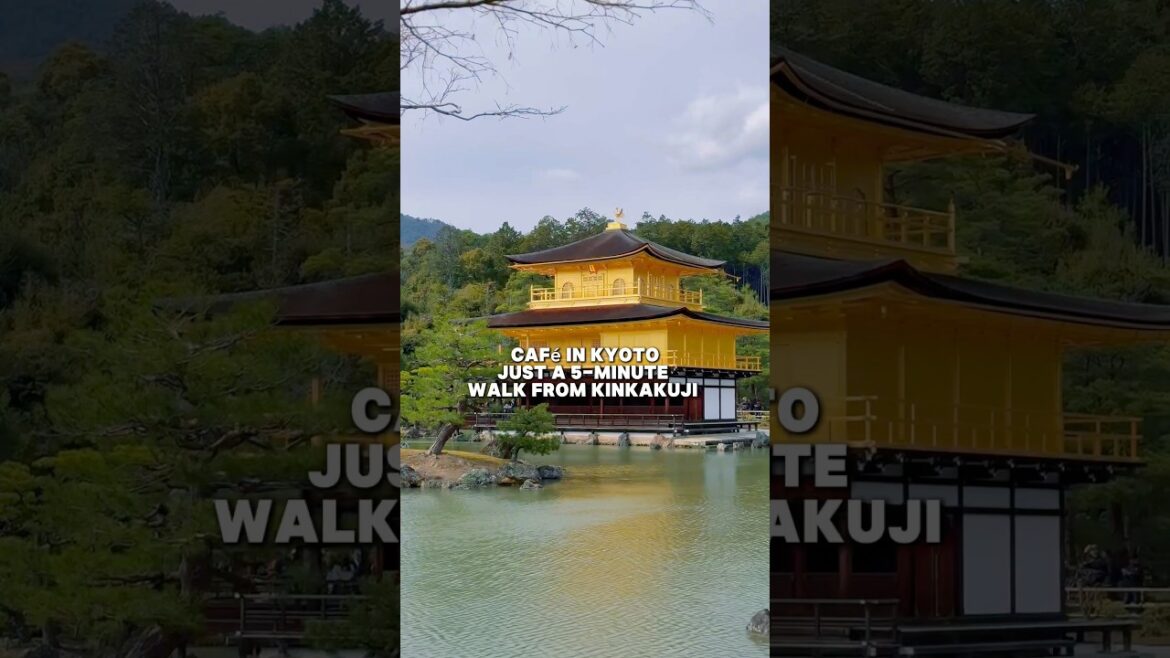 ☕✨ Zip Café in Kyoto ✨☕ #travel #foryou #japan #kyoto #cafe #japantravel