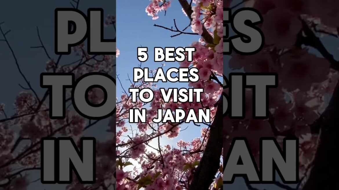 5 Best Places to Visit in Japan 5 Best Places to Visit in Japan